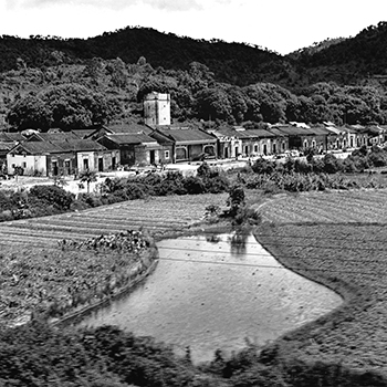 Rural Hong Kong 